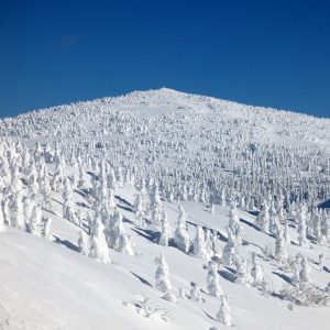 森吉山の樹氷
