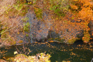 長木川渓流の紅葉