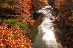 長木川渓流の紅葉